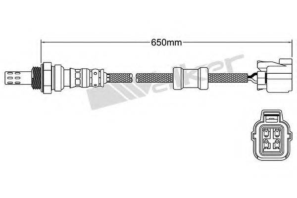 WALKER PRODUCTS 25024121 Лямбда-зонд