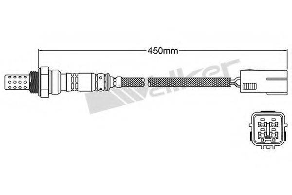 WALKER PRODUCTS 25024131 Лямбда-зонд