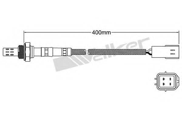 WALKER PRODUCTS 25024341 Лямбда-зонд