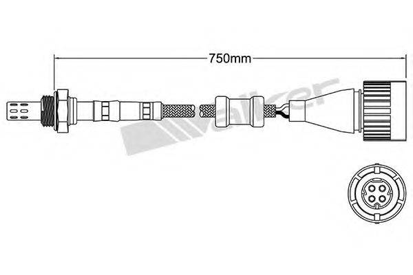 WALKER PRODUCTS 25024613 Лямбда-зонд