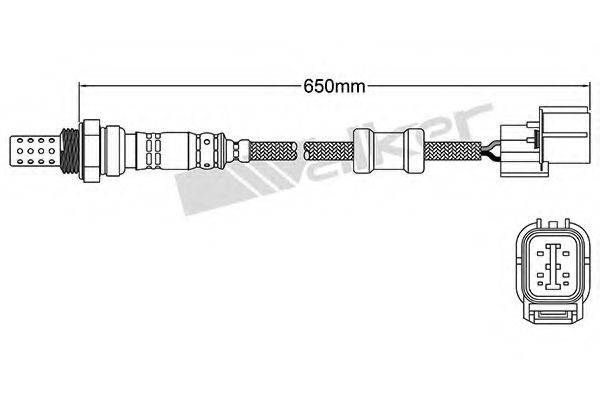 WALKER PRODUCTS 25024391 Лямбда-зонд