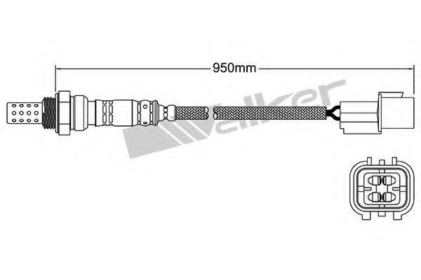 WALKER PRODUCTS 25024262 Лямбда-зонд