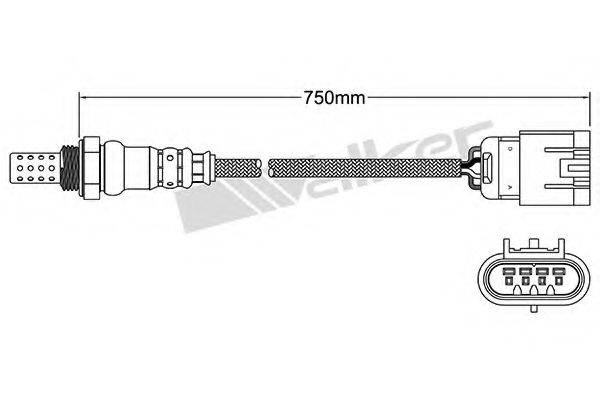 WALKER PRODUCTS 25024707 Лямбда-зонд