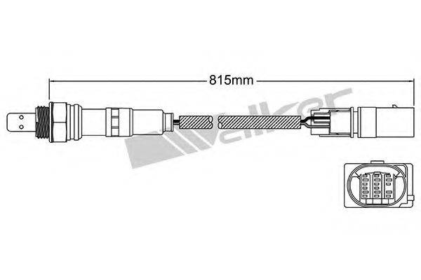 WALKER PRODUCTS 25025064 Лямбда-зонд