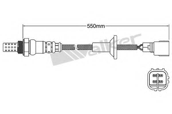 WALKER PRODUCTS 25024684 Лямбда-зонд