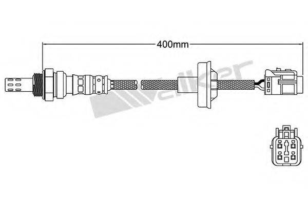 WALKER PRODUCTS 25024289 Лямбда-зонд