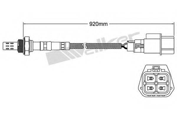 WALKER PRODUCTS 25024284 Лямбда-зонд