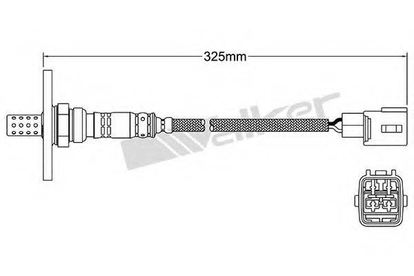 WALKER PRODUCTS 25024156 Лямбда-зонд