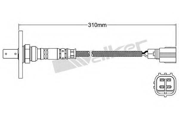 WALKER PRODUCTS 25054051 Лямбда-зонд