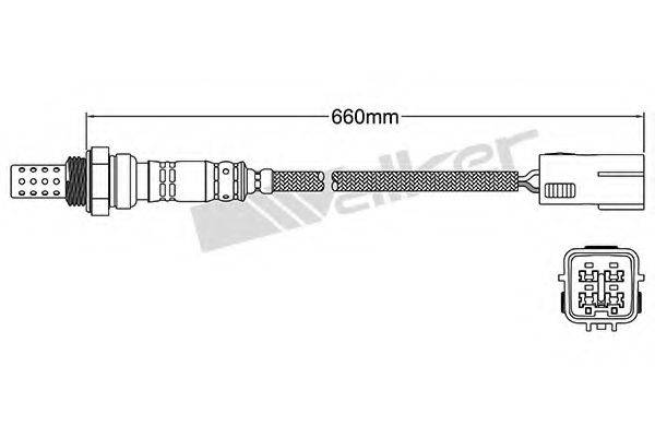 WALKER PRODUCTS 25024130 Лямбда-зонд