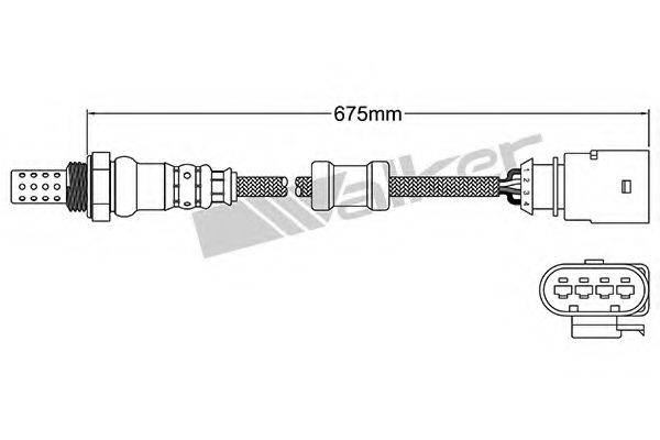 WALKER PRODUCTS 25024955 Лямбда-зонд