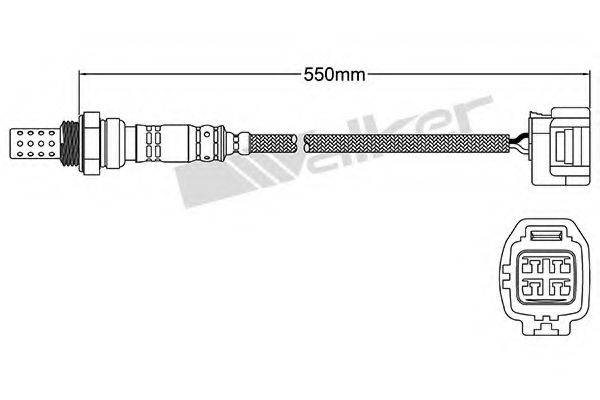 WALKER PRODUCTS 25024439 Лямбда-зонд