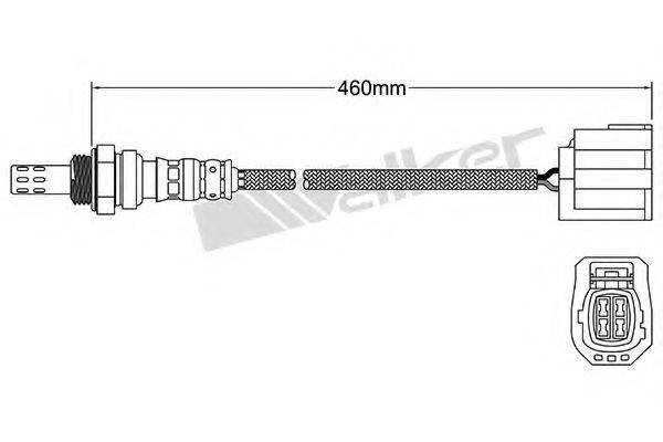 WALKER PRODUCTS 25024660 Лямбда-зонд