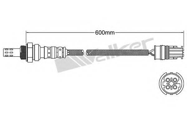 WALKER PRODUCTS 25024970 Лямбда-зонд