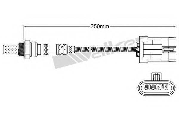 WALKER PRODUCTS 25024973 Лямбда-зонд