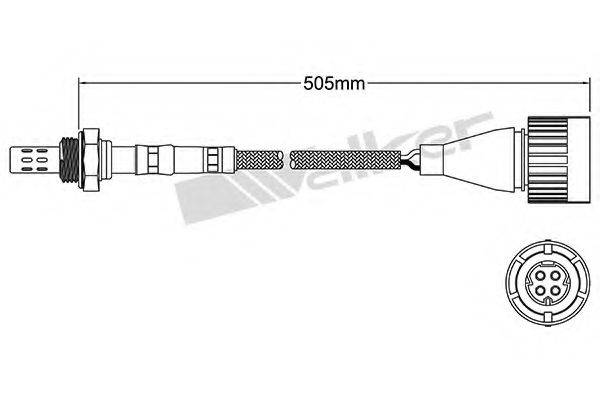 WALKER PRODUCTS 25024035 Лямбда-зонд