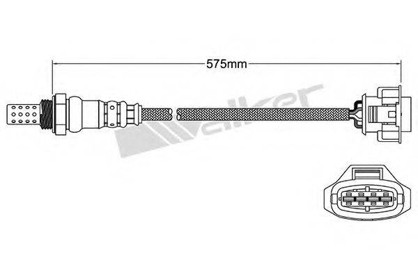 WALKER PRODUCTS 25024848 Лямбда-зонд