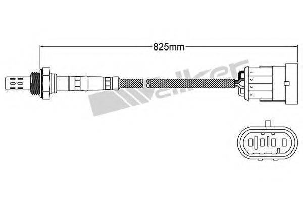 WALKER PRODUCTS 250241019 Лямбда-зонд