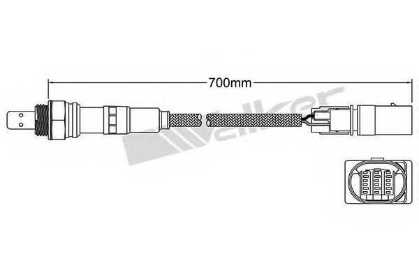 WALKER PRODUCTS 25025065 Лямбда-зонд