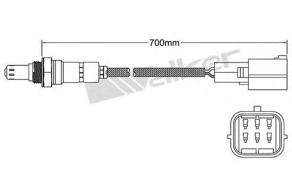 WALKER PRODUCTS 25025096 Лямбда-зонд