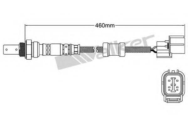 WALKER PRODUCTS 25054014 Лямбда-зонд