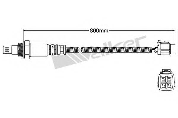 WALKER PRODUCTS 25054079 Лямбда-зонд