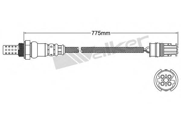 WALKER PRODUCTS 250241053 Лямбда-зонд