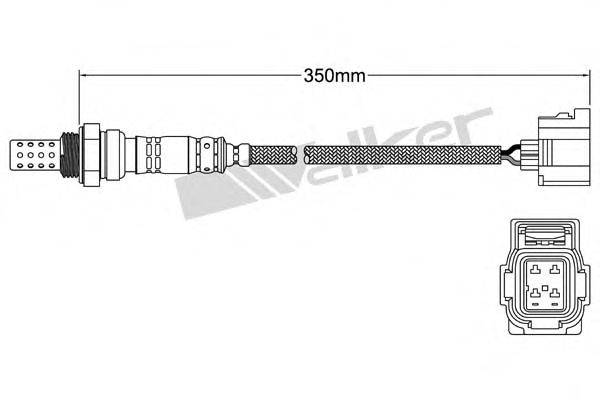 WALKER PRODUCTS 25024249 Лямбда-зонд