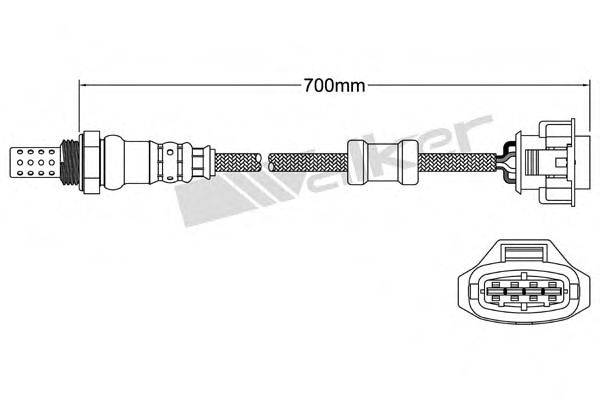 WALKER PRODUCTS 25024712 Лямбда-зонд