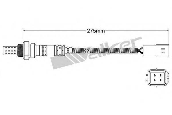 WALKER PRODUCTS 25024860 Лямбда-зонд