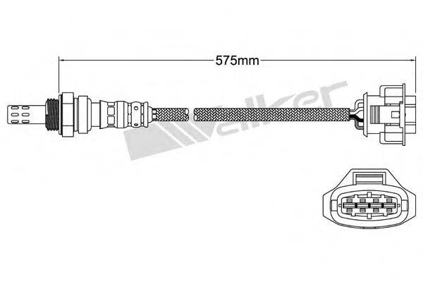 WALKER PRODUCTS 250241078 Лямбда-зонд