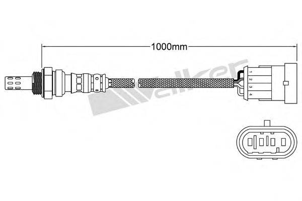 WALKER PRODUCTS 250241095 Лямбда-зонд