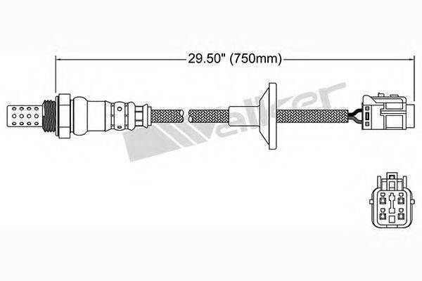 WALKER PRODUCTS 25024987 Лямбда-зонд