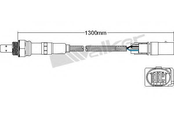 WALKER PRODUCTS 80095024 Лямбда-зонд