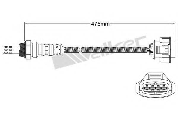 WALKER PRODUCTS 25024765 Лямбда-зонд