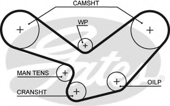 GATES 5098XS Ремінь ГРМ