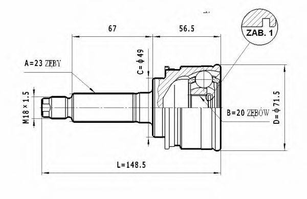 STATIM C636 Шарнірний комплект, приводний вал