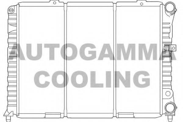AUTOGAMMA 100019 Радіатор, охолодження двигуна