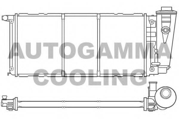 AUTOGAMMA 100079 Радіатор, охолодження двигуна