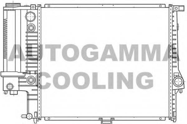 AUTOGAMMA 100126 Радіатор, охолодження двигуна