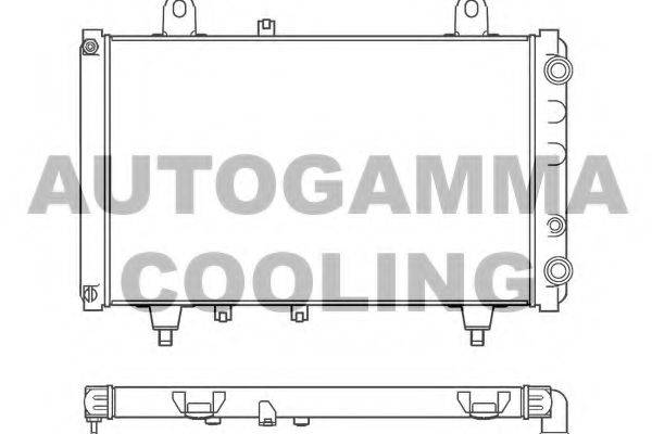 AUTOGAMMA 100175 Радіатор, охолодження двигуна