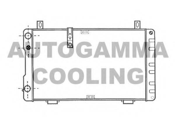 AUTOGAMMA 100181 Радіатор, охолодження двигуна