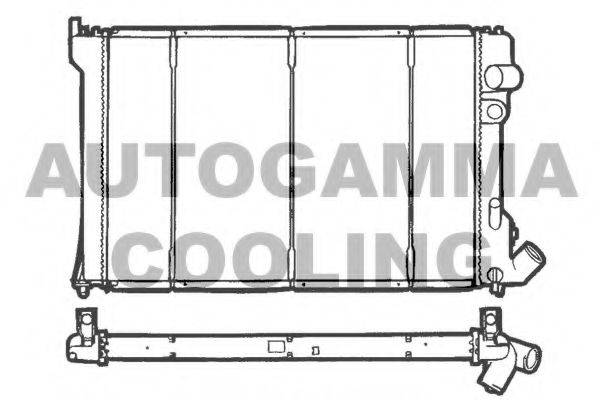 AUTOGAMMA 100211 Радіатор, охолодження двигуна