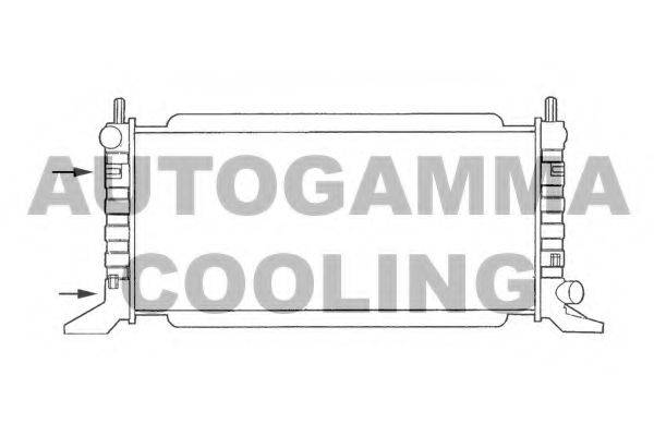 AUTOGAMMA 100342 Радіатор, охолодження двигуна