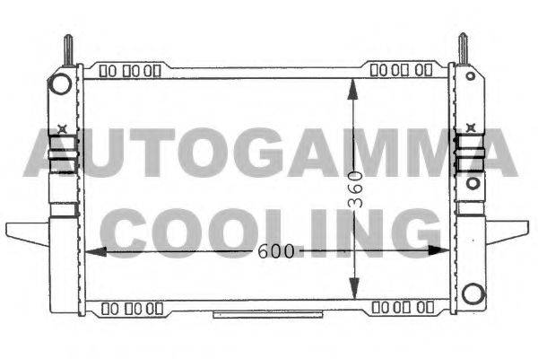 AUTOGAMMA 100390 Радіатор, охолодження двигуна