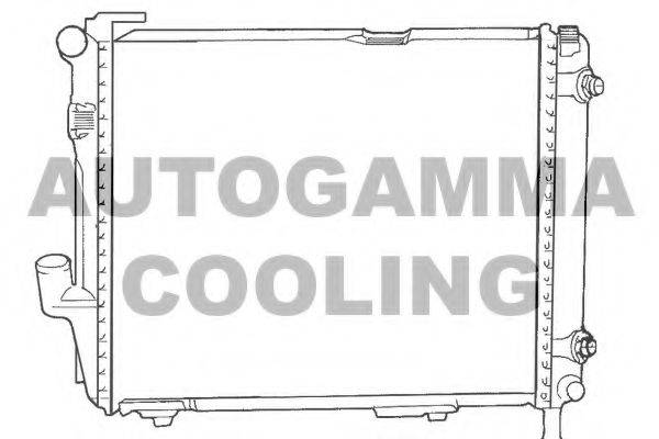 AUTOGAMMA 100544 Радіатор, охолодження двигуна