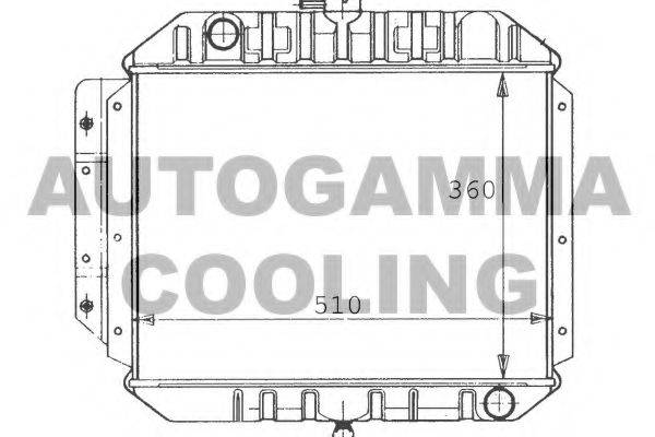 AUTOGAMMA 100604 Радіатор, охолодження двигуна