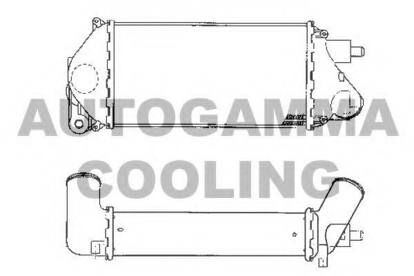 AUTOGAMMA 101907 Інтеркулер