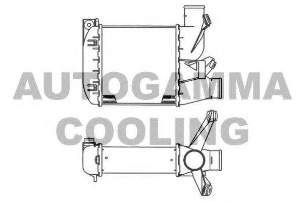 AUTOGAMMA 102024 Інтеркулер