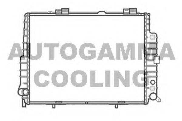 AUTOGAMMA 102153 Радіатор, охолодження двигуна